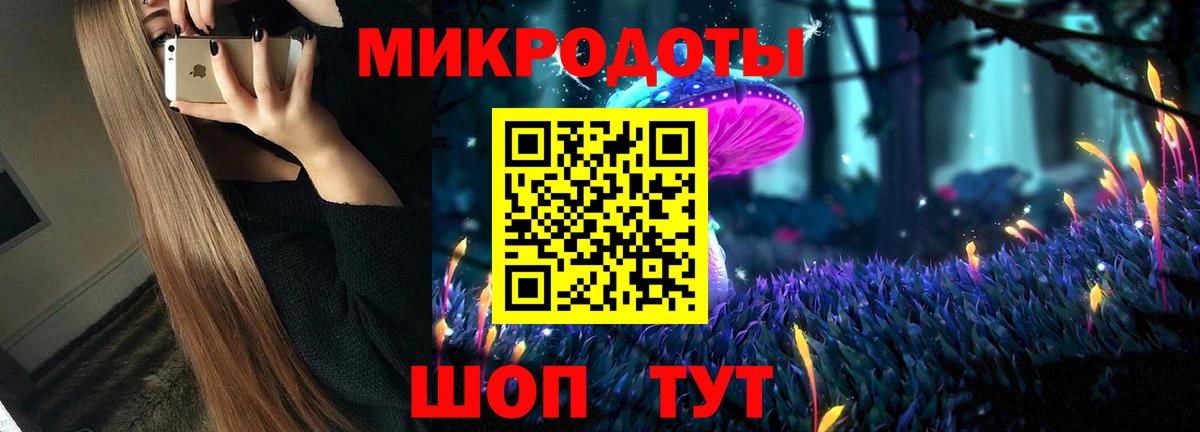 Псилоцибиновые грибы Psilocybine cubensis Губаха