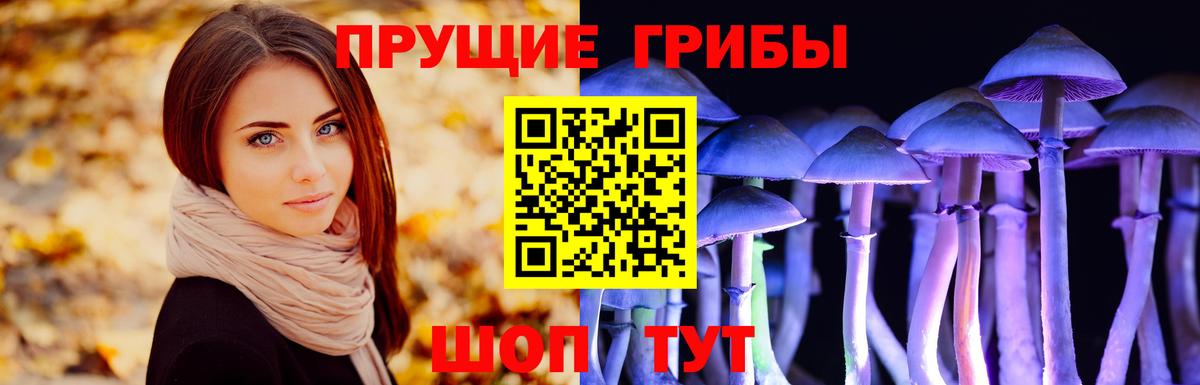 Псилоцибиновые грибы мухоморы  Вход с VPN  Губаха 